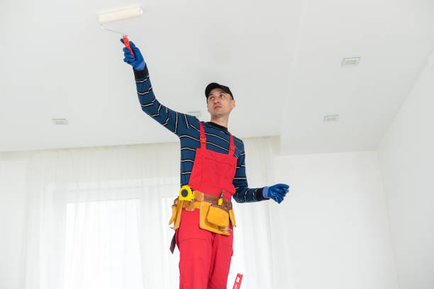 Best Asbestos and Lead Testing During Mold Inspection  in Emigration Canyon, UT